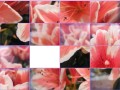 Flowers Slider Puzzle